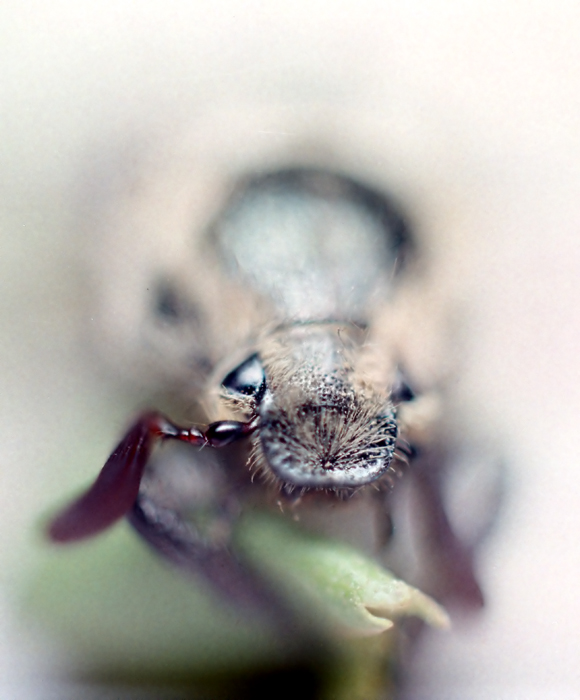 Plötzlich von der Mutter SCHLAFZIMMER-2