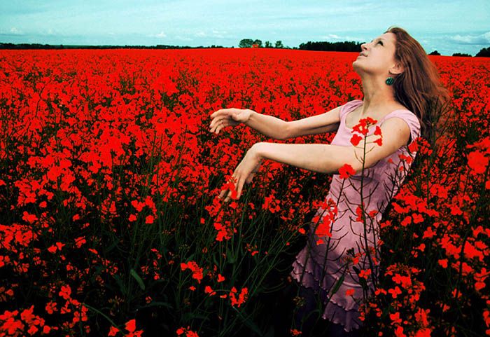 geben Sonne und regen auf einmal?