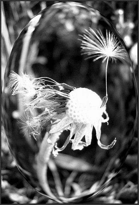 "Obwohl ein bisschen mehr Stand am Rande ..."