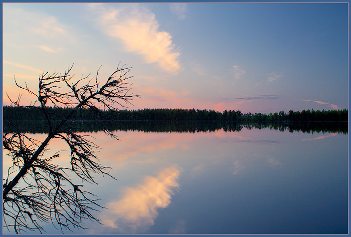 Kaleidoskop der Natur