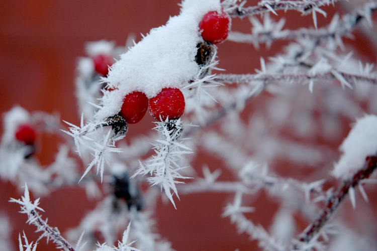 Nostalgie für den Winter