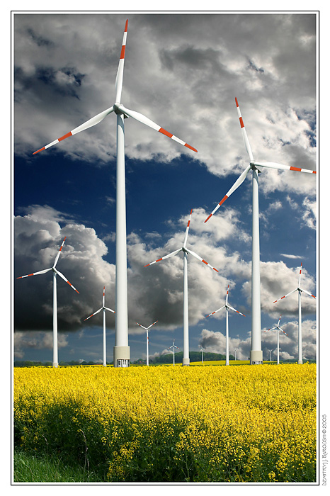 Dzestsi ¢ Nyamechchyne