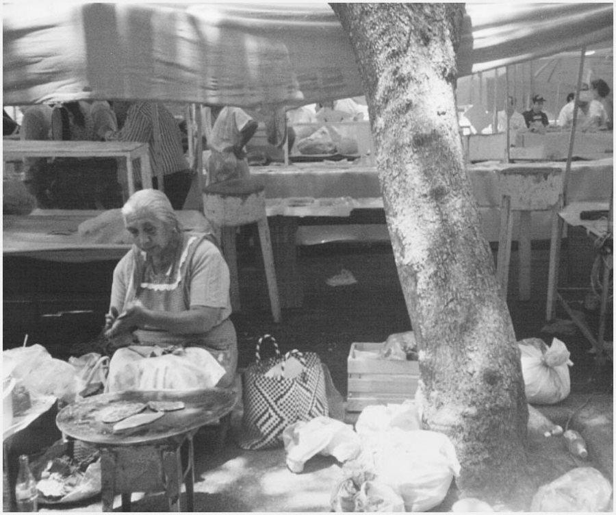 Hot Kuchen aus einem Kaktus! Flog!