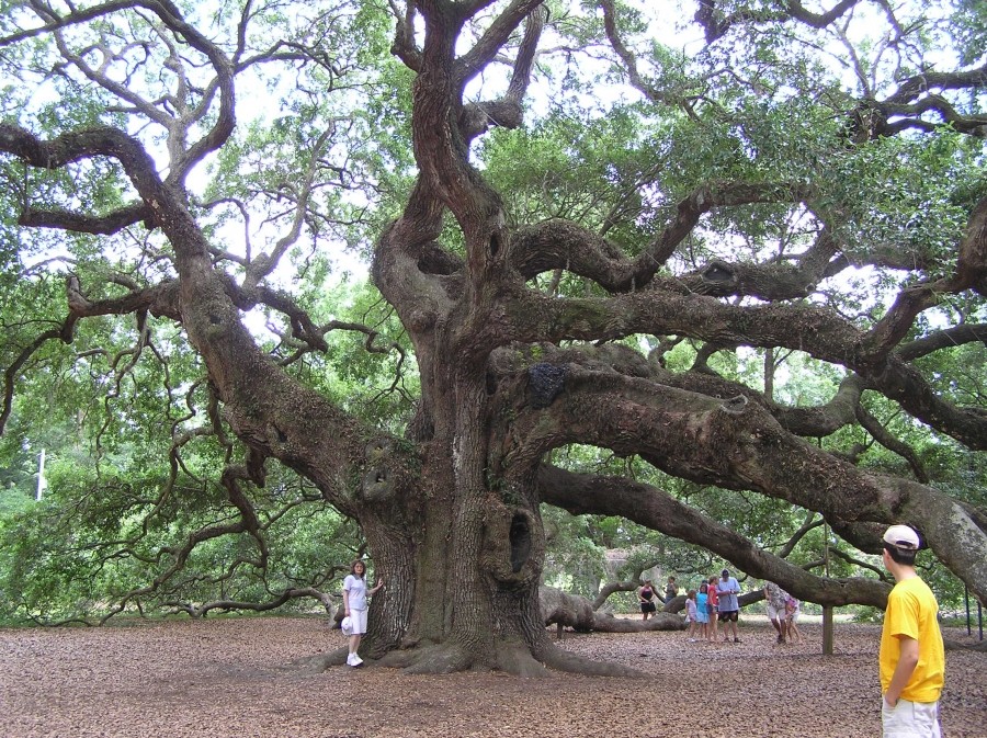 Das Berühren der Vergangenheit