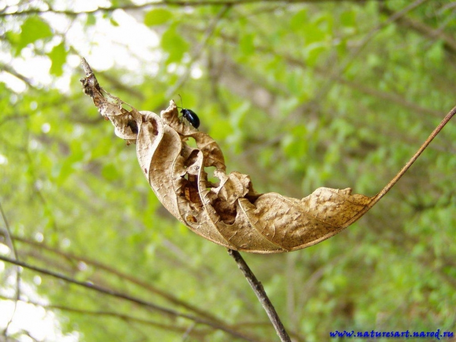 Fragmente von Herbst