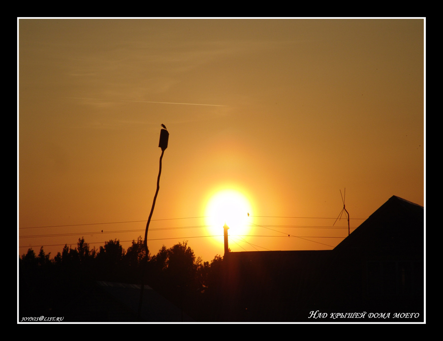 Auf dem Dach meines Hauses