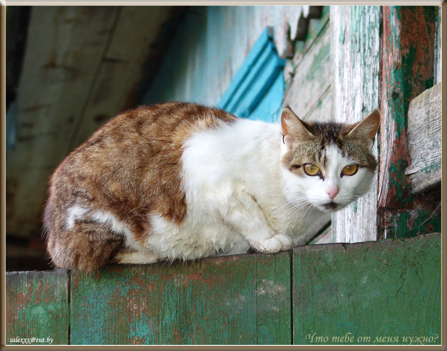 Was willst du von mir?