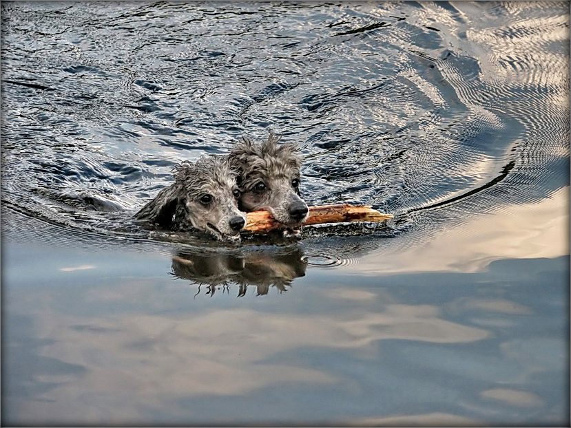 Zeiten der wir matsneyshyya!
