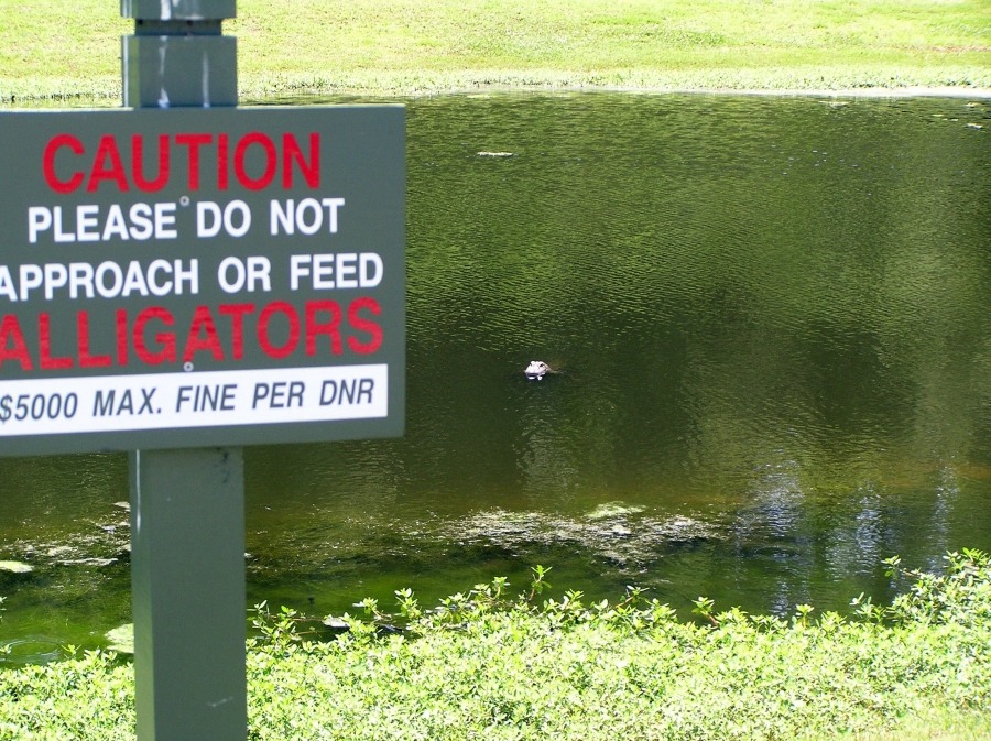 Ja, ich bin gut und hungrig