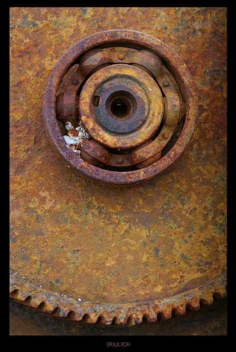 runden und scharfen Zähnen