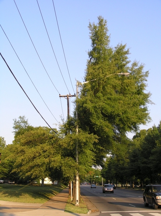 Der Fortschritt wird immer wichtiger ...