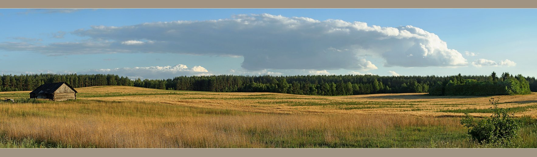 Juli in der Siedlung.