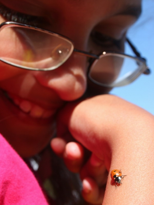 Bozh'ja korovka pristala k MJ