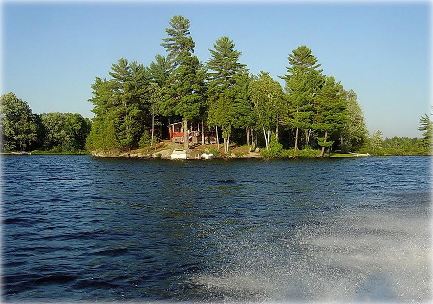 Schaub ich lebte! ..