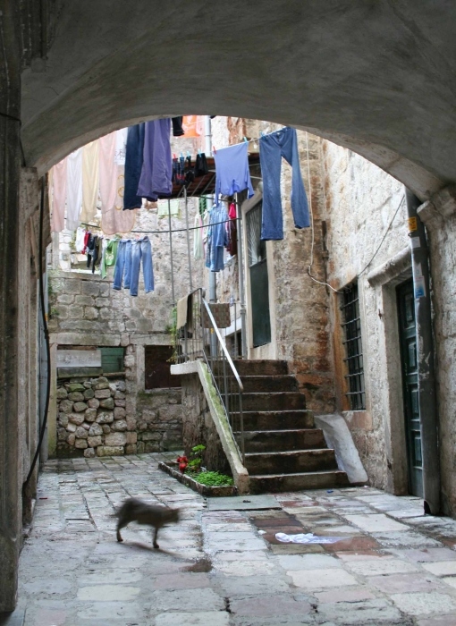 Geister Katze oder nach dem Jeans-Revolution