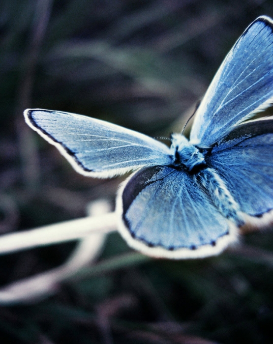 mit angehaltenem Atem ...