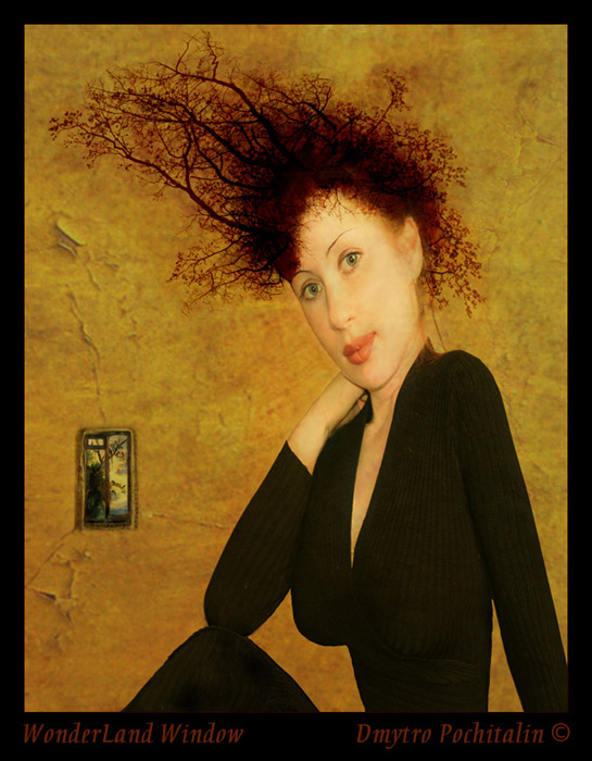 Fenster in eine Welt der Wunder