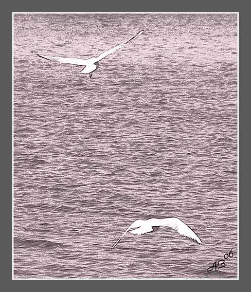 ... Stolz fliegt ...