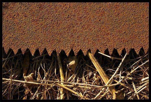 der Vergangenheit an