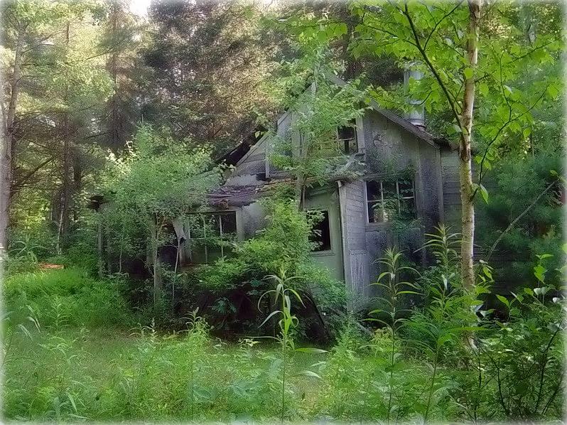 Alice lebt hier nicht mehr