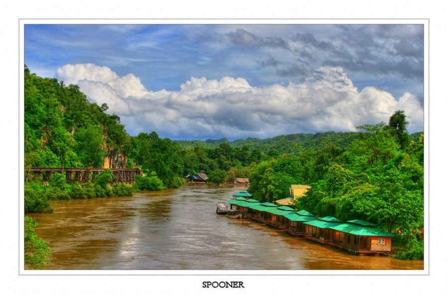 Welcome to the Jungle