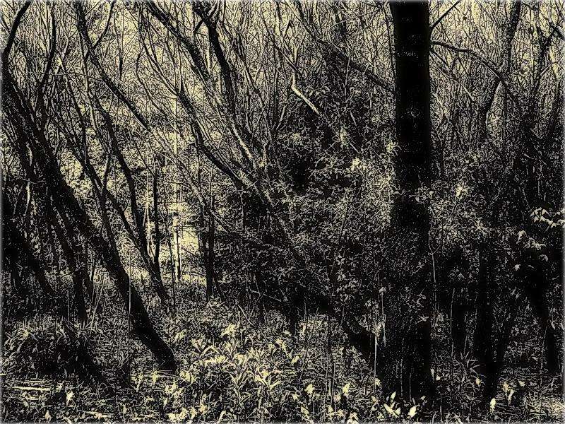 will nicht, dass jemand mich finden zu lassen