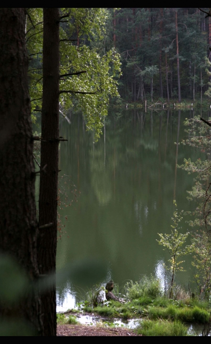 Dead See lebenden Augen