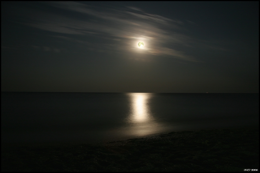 Spaziergang unter dem Mond