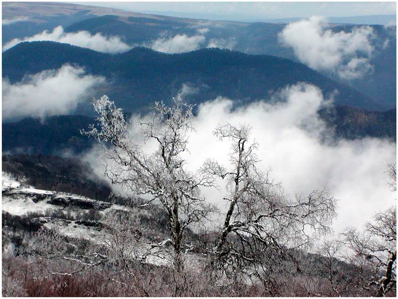 Frosty Mai Morgen ...