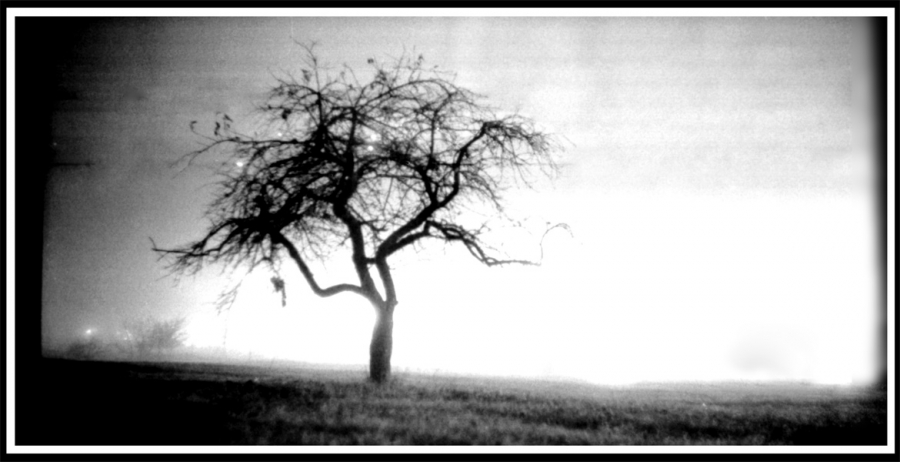 gespenstische Landschaft