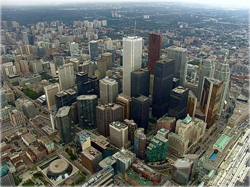 ... Sie - eine Blume aus Stein