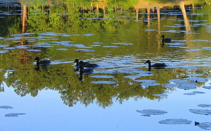 Macht nichts, dass die Welt auf den Kopf ist nach unten ...