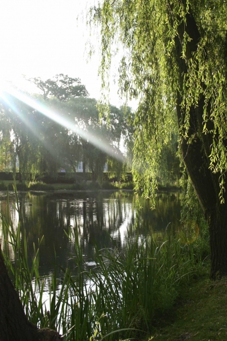 Sonnenlicht oder Morgen auf dem See