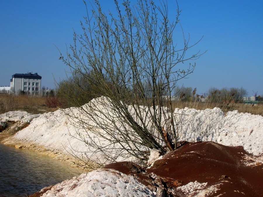 Schädlingsbekämpfungsmitteln