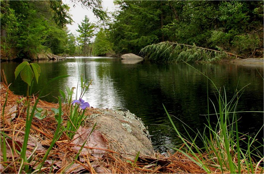 Flüstern der namenlose Bäche .. .3