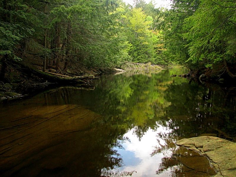 Flüstern der namenlose Bäche .. .4