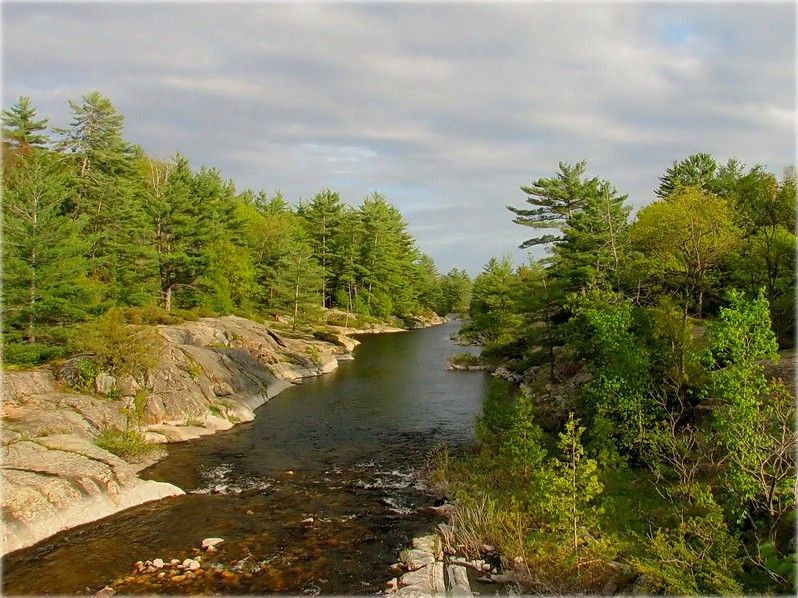 vergessen Sie nicht, Farben Frühjahr (Bild im Winter)