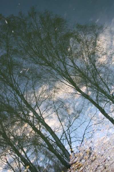 vosenskіya zamaleўkі