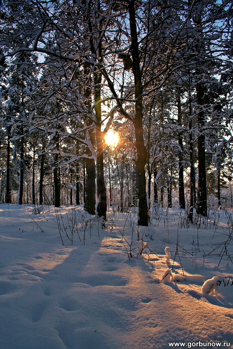 In den Strahlen der Winter