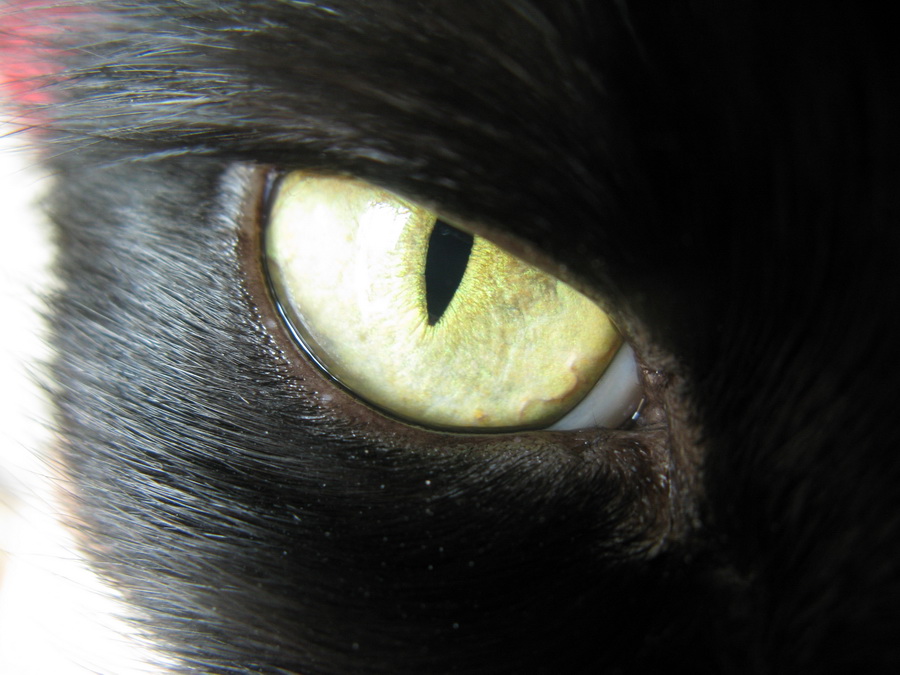 Verachtung, Ansichten äußern