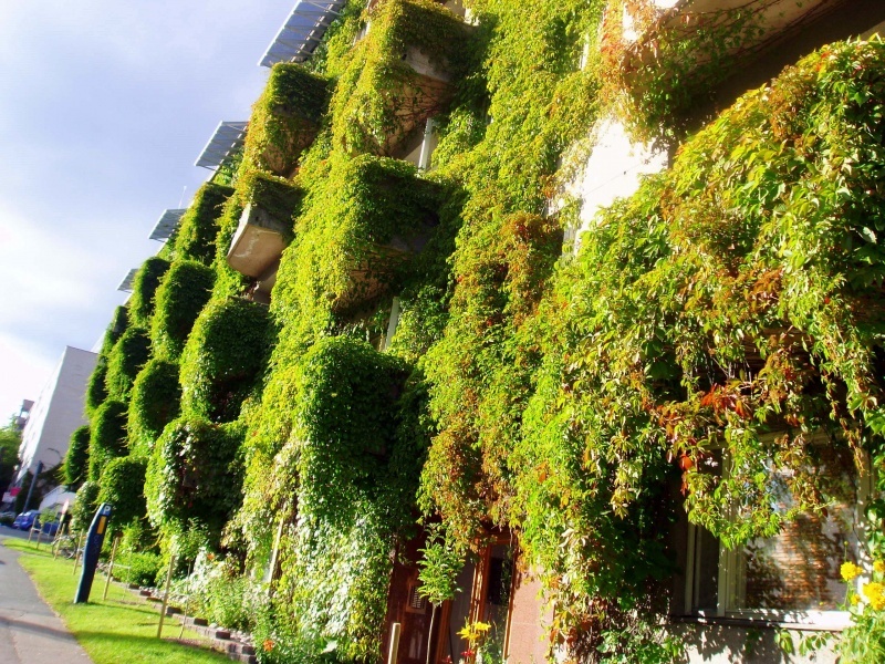 Real Estate Gnomen:)