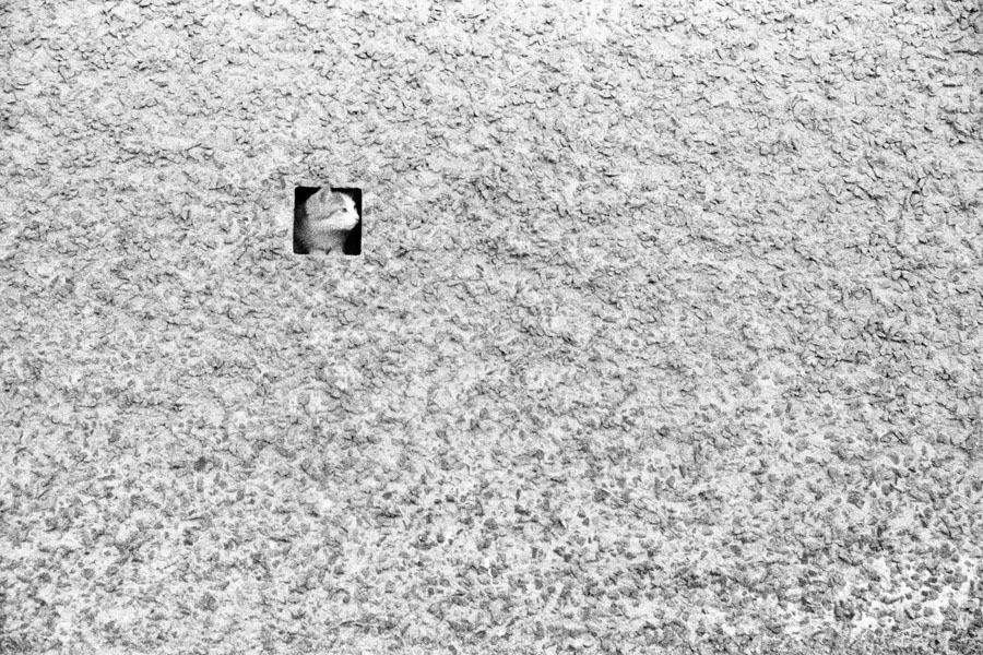 so alone in this world