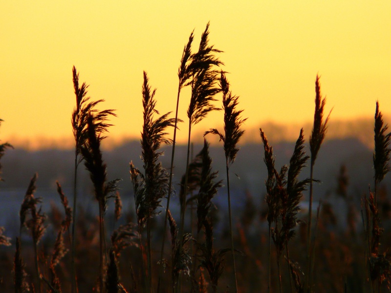 Winter Sonnenuntergang