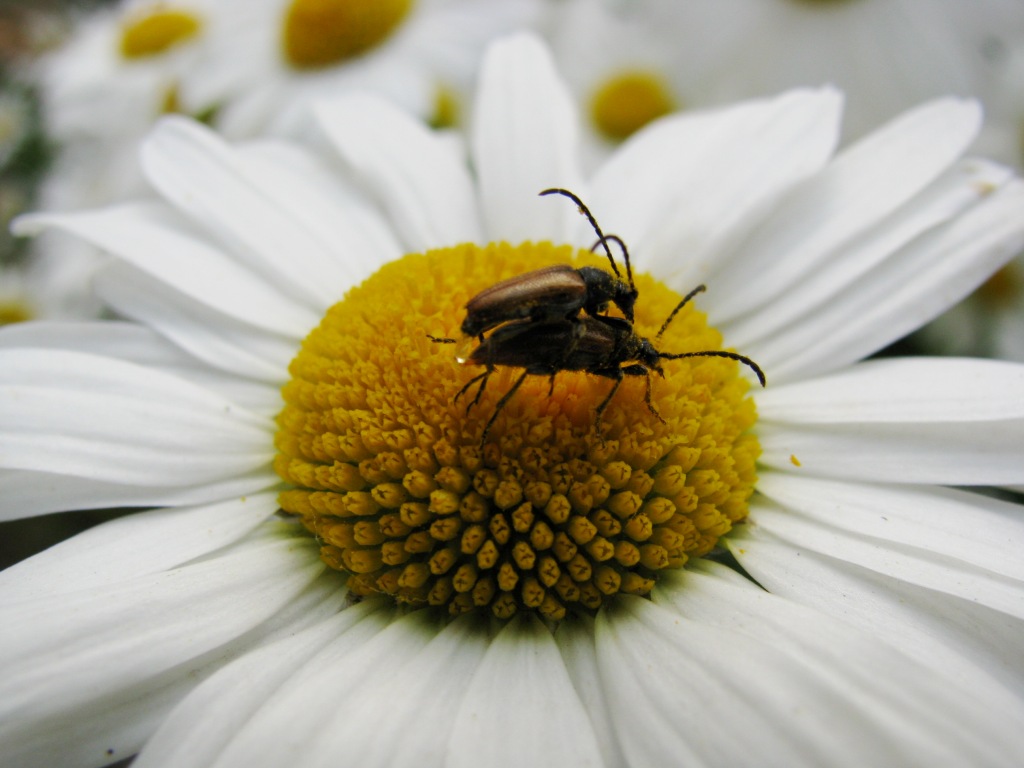 Und bald werden sie wurden 3