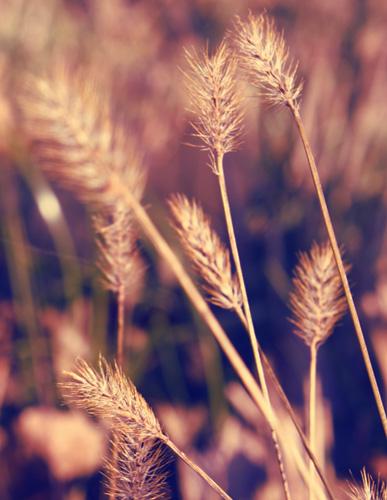 "wake me up when september ends..."