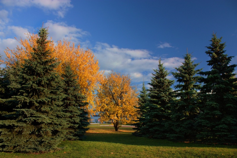 Untitled Landschaft 2