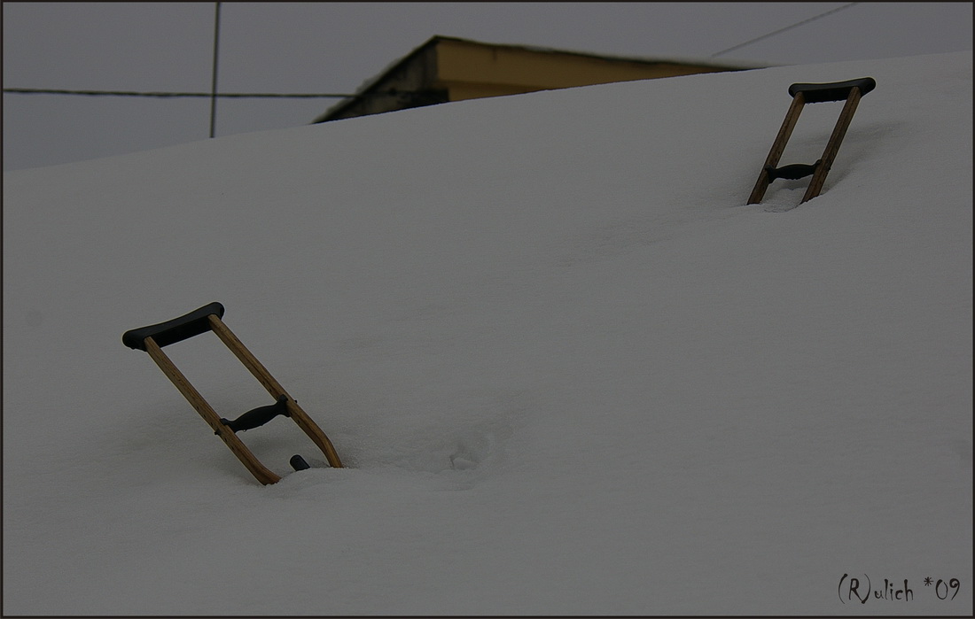wenn Flügel wachsen ...