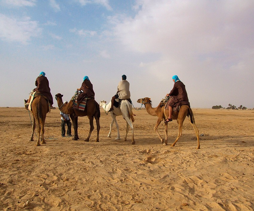 "Sag mal, Wohnwagen, wenn das Wasser?"