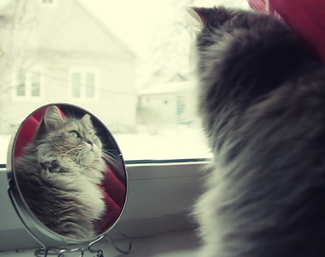 auch auf der Straße