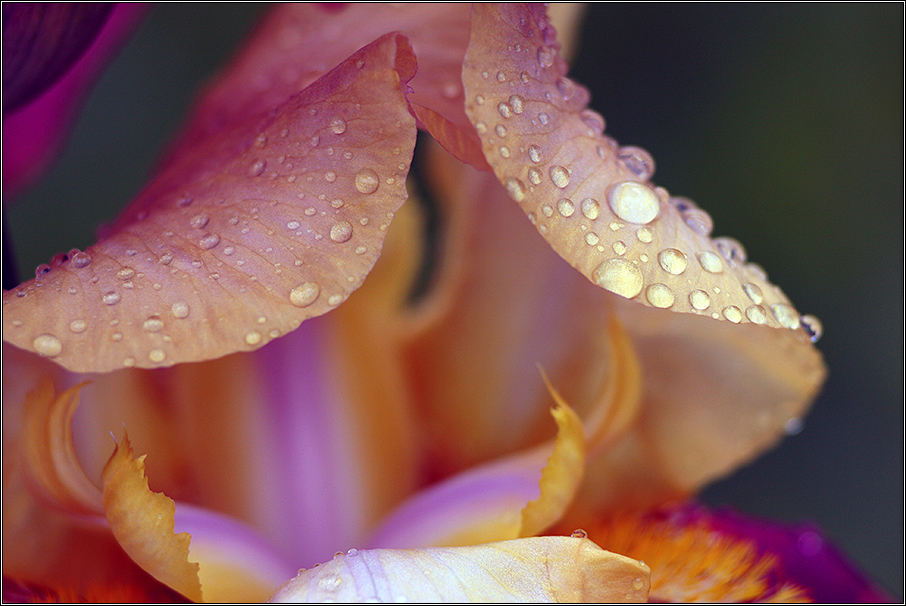 Haus für Däumelinchen